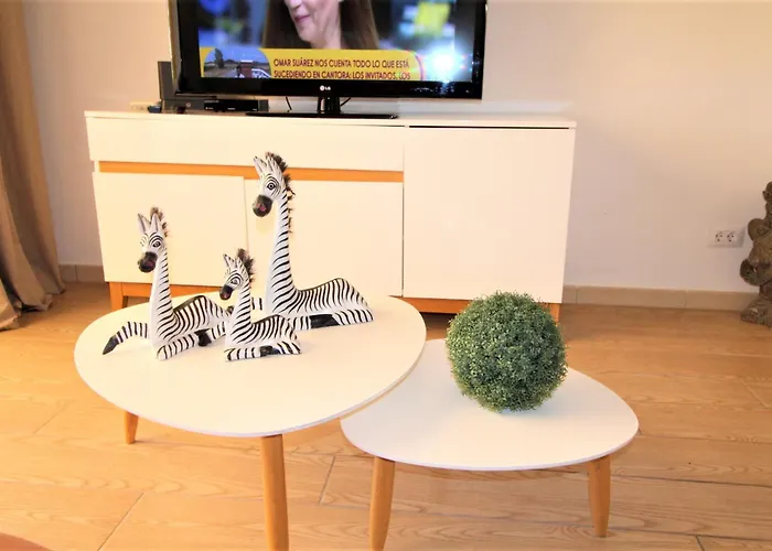 Zebra 3 Piscines Costa Adeje (Tenerife)