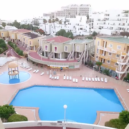 Zebra 3 Piscines